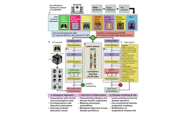 Figure 1 from the paper