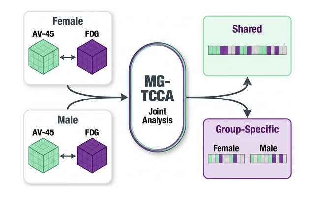 Overview illustration: AV-45 and FDG PET tensors from female and male groups analyzed jointly by MG-TCCA into shared and group-specific canonical weights