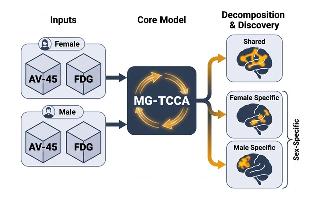 Overview illustration: MG-TCCA separates AV-45 and FDG PET correlations into shared and sex-specific brain patterns