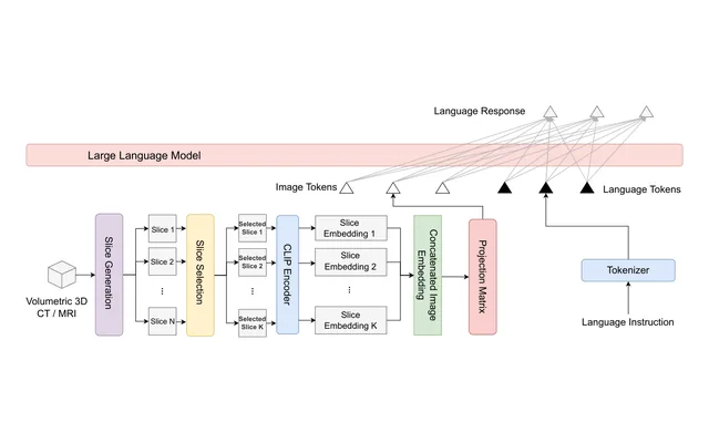 Figure 1 from the paper: Architecture pipeline for adapting 2D vision-language models to 3D medical scans