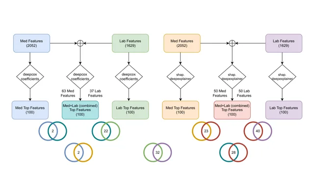 Figure 1 from the paper: DeepCox roll-out and SHAP-DeepExplainer Intersection